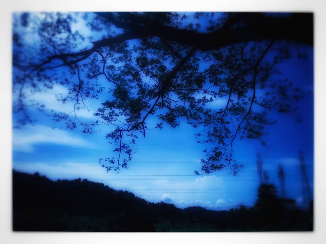 #dusk #love #sunset #nature #clouds #flowers #sky #green #sun #beach #mothernature #weather #iphonesia #like #photooftheday #red #day #skylovers #night #blue #summer #tree #sunrise #twilight #light #pretty #cloudporn #beautiful #beauty