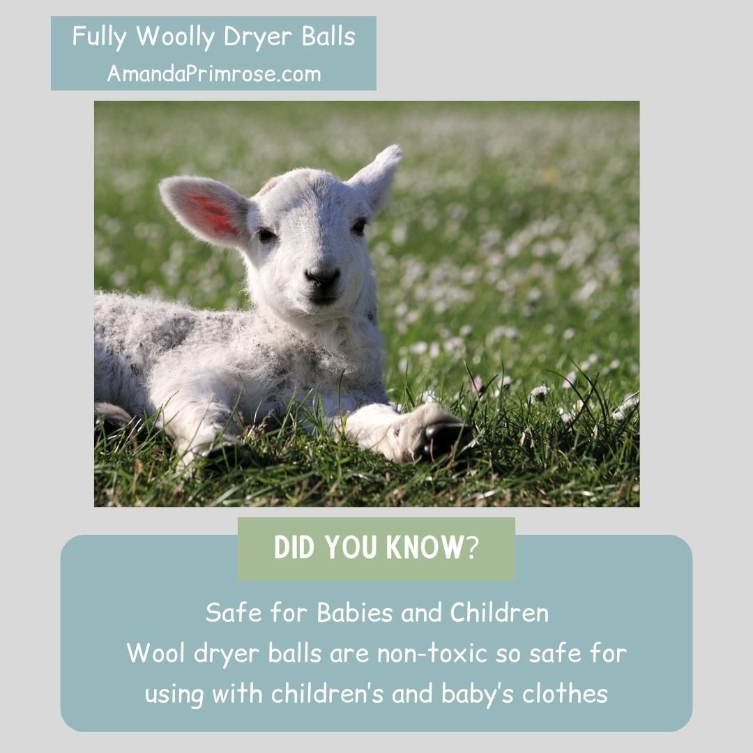 Sharing another fun fact about Woolly Dryer Balls.
#Britishwool #Needlefelting #Wetfelting #Sheep #Wool #Felting #Laundry #DartmoorWool #HandmadeInDartmoor #EcoFriendlyLaundry #NaturalFabricCare #SustainableLiving #SupportLocalCraftsmen #BritishMade #WoolDryerBalls #ZeroWasteHome #GreenLaundry #LocallySourcedWool #NonToxicLaundry #ReduceReuseRecycle #LoveDartmoor #VisitDartmoor #MadeinDevon #wetfeltmaking #nature #photoofthe day #love #lambs