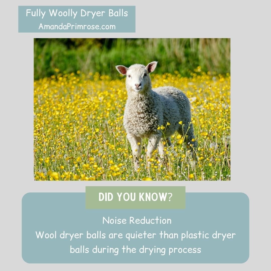 Sharing another fun fact about Woolly Dryer Balls.
#Britishwool #Needlefelting #Wetfelting #Sheep #Wool #Felting #Laundry #DartmoorWool #HandmadeInDartmoor #EcoFriendlyLaundry #NaturalFabricCare #SustainableLiving #SupportLocalCraftsmen #BritishMade #WoolDryerBalls #ZeroWasteHome #GreenLaundry #LocallySourcedWool #NonToxicLaundry #ReduceReuseRecycle #LoveDartmoor #VisitDartmoor #MadeinDevon #wetfeltmaking #nature #photoofthe day #love #sheep