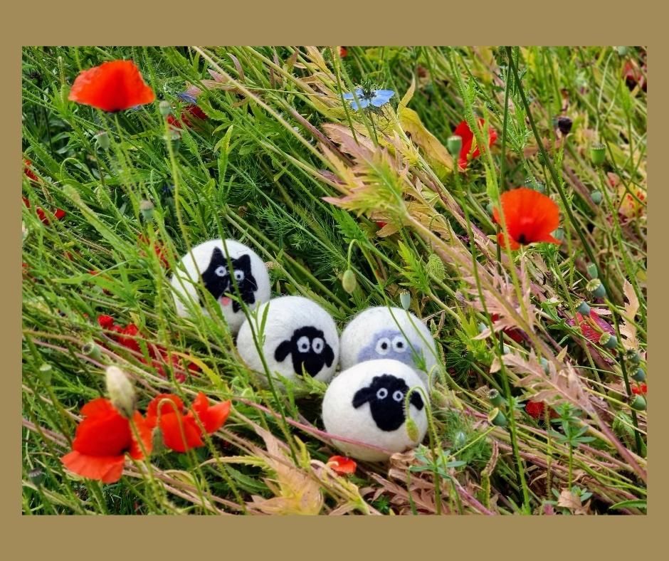 Another lovely day in the meadow
#Britishwool #Needlefelting #Wetfelting #Sheep #Wool #Felting #Laundry #Britishwildflowers #HandmadeInDartmoor #EcoFriendlyLaundry #NaturalFabricCare #SustainableLiving #SupportLocalCraftsmen #BritishMade #WoolDryerBalls #ZeroWasteHome #GreenLaundry #LocallySourcedWool #NonToxicLaundry #ReduceReuseRecycle #LoveDartmoor #VisitDartmoor #MadeinDevon #wetfeltmaking #nature #photooftheday #love #sheep #meadow