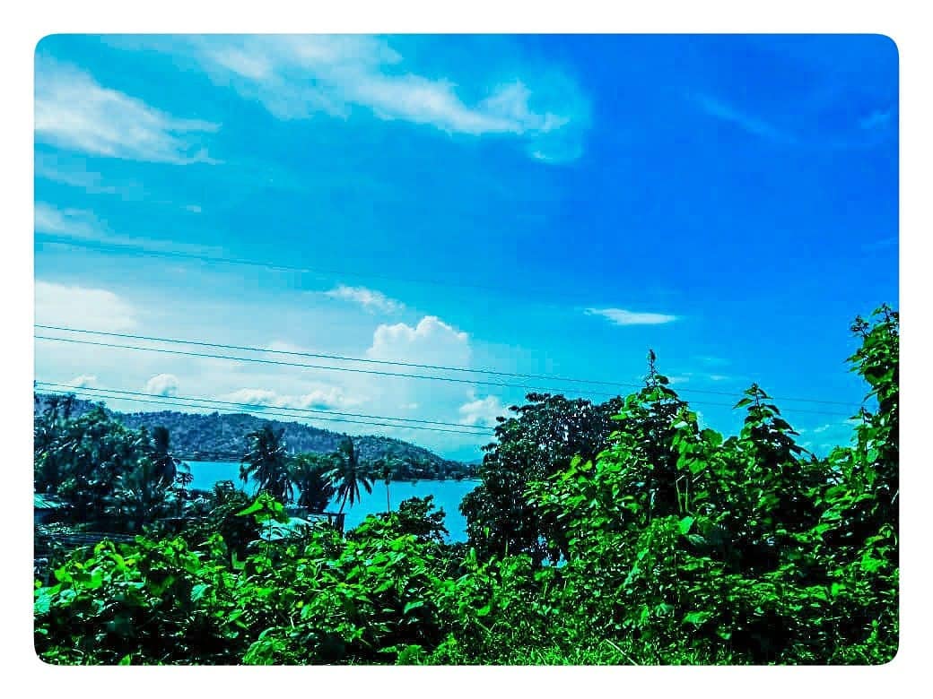 #happyday #flowers #mothernature #natureporn #nature_shooters #beautifulday #nature_perfection #nice #nature #sunrise #day #sky #happylife #instatag #natureza #weather #naturehippys #naturelover #sun #tree #real #pretty #outdoors #photooftheday #instagramanet #blue #natureaddict #sunset #naturelovers #beautiful