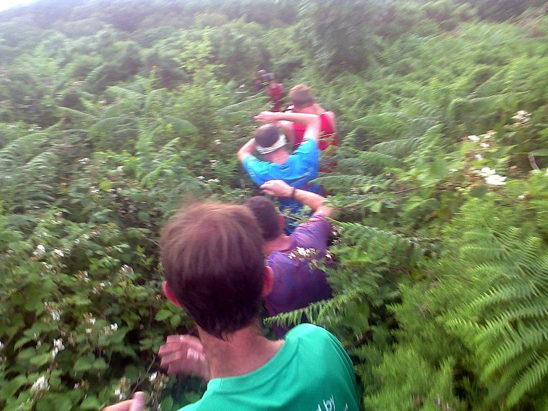 Nice run tonight- good fast route (!)