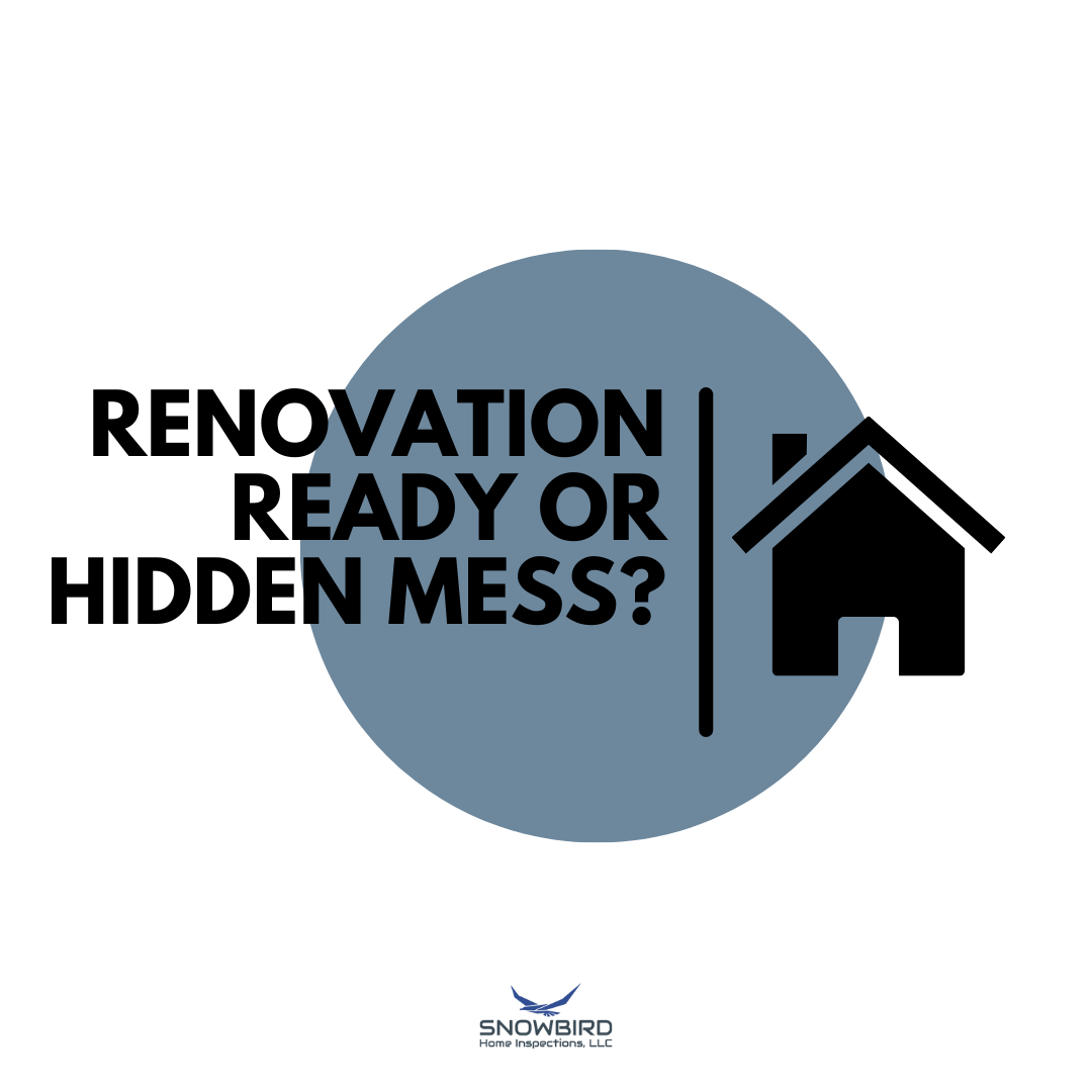 Before investing in a fixer-upper, it's essential to be fully informed about the property's true potential and possible challenges. 🏡
With a thorough inspection, you'll gain valuable insights into the condition of the property's major systems, structural components, and potential renovation requirements. Whether it's uncovering hidden issues that need attention or highlighting the property's strong points, we're committed to providing you with the knowledge you need to make the best decision for your investment.
Knowledge transforms houses into homes, and we believe in empowering you with all the information necessary to turn your fixer-upper into the home of your dreams. #RenovationSuccess #TransformWithInsights