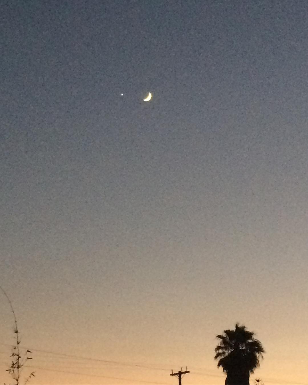 Newish moon and Venus over Venice tonight. #weliveinheaven #celestial #synchronicity