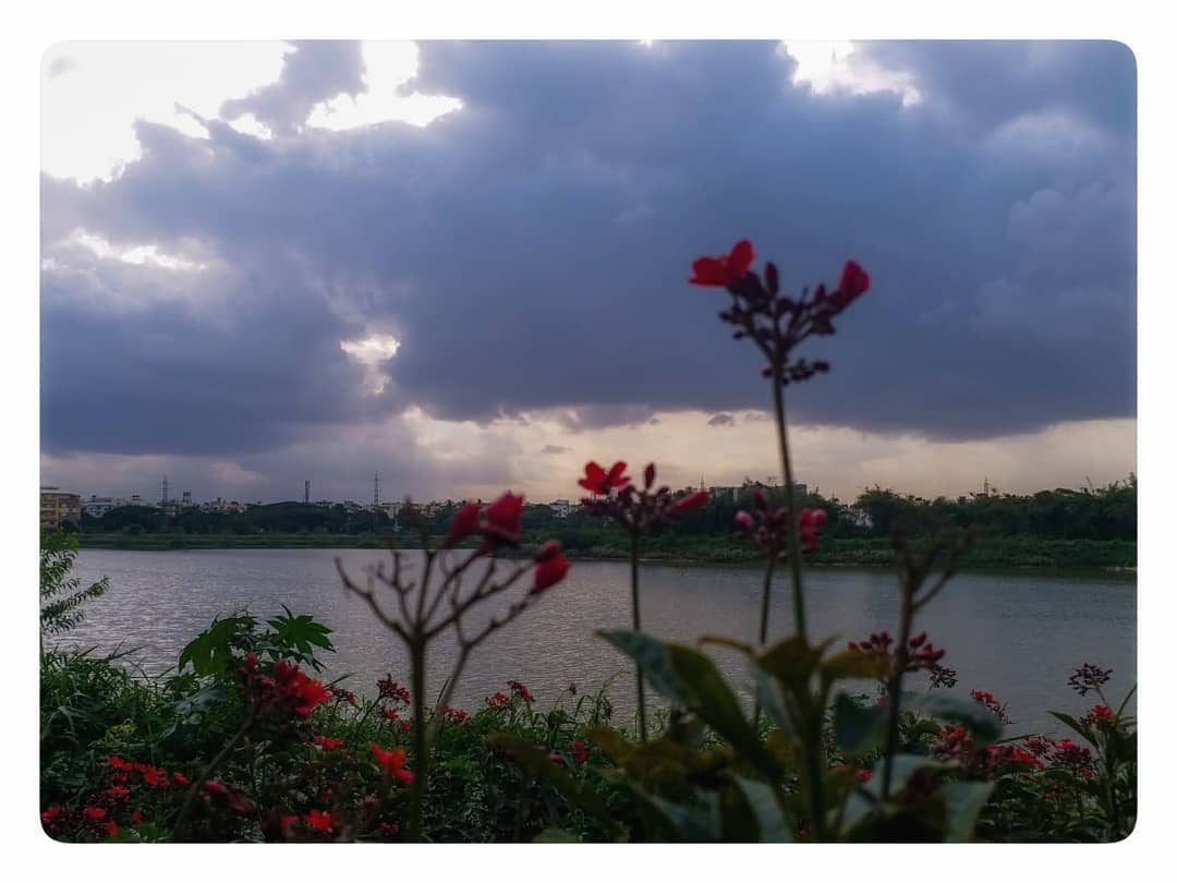 #nature #photography #naturephotography #travel #love #instagood #photooftheday #beautiful #landscape #summer #naturelovers #sky #sunset #like #sun #photo #flowers #ig #picoftheday #art #mountains #green #instagram #clouds #adventure #beauty #wildlife #water #follow #lake