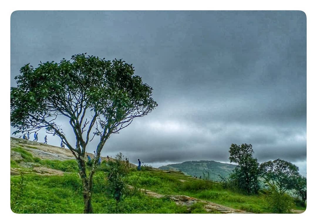 #hills #nature #mountains #travel #photography #sky #landscape #beautiful #india #clouds #mountain #naturephotography #love #green #peace #trees #travelphotography #view #travelgram #summer #sun #bangalore #instagood #natural #wanderlust #incredibleindia #photooftheday #traveller #landscapes #bhfyp