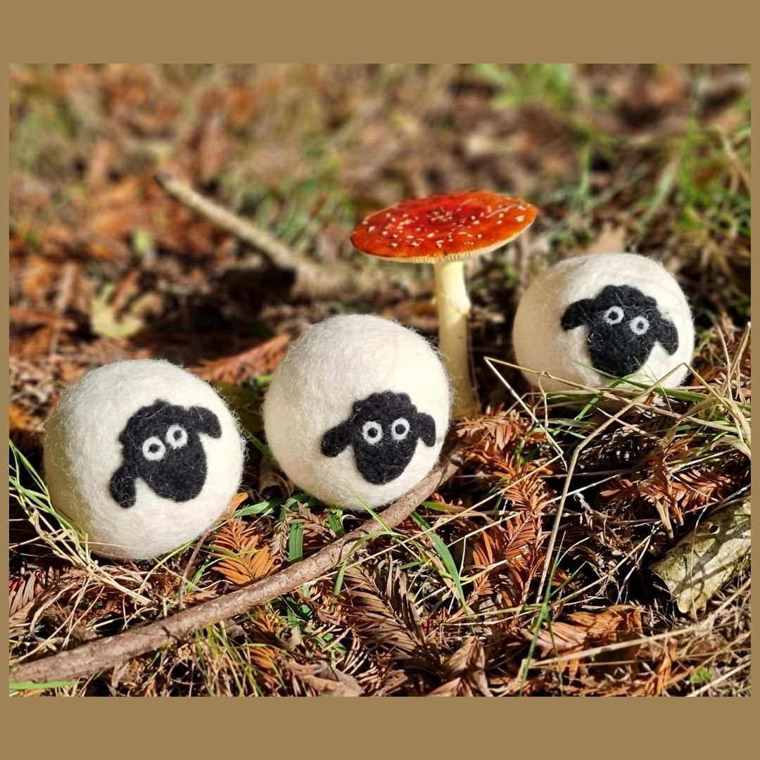 The Flock met a Fun-guy!!
#Britishwool #Needlefelting #Wetfelting #Sheep #Wool #Felting #Laundry #HandmadeInDartmoor #EcoFriendlyLaundry #NaturalFabricCare #BritishMade #WoolDryerBalls #GreenLaundry #LocallySourcedWool #NonToxicLaundry #ReduceReuseRecycle #LoveDartmoor #MadeinDevon #nature #photooftheday #love #Fungi #Toadstool #Autumn