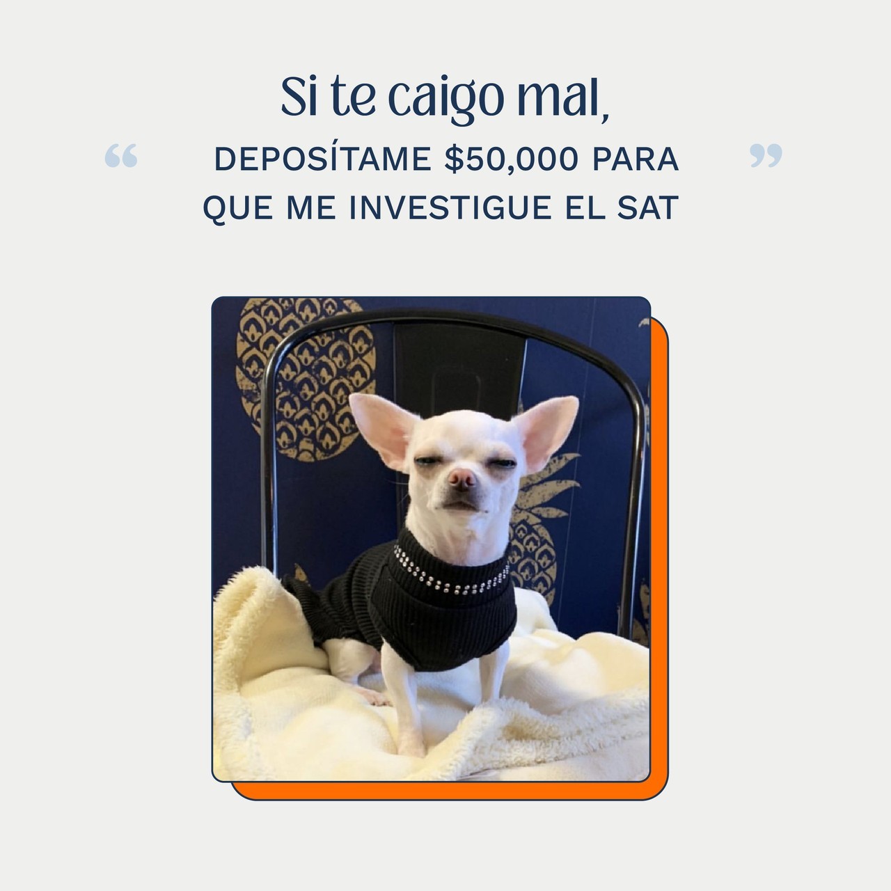 ¡El SAT no es tan terrorífico como parece! 🥴 ¿Sabías que puede pagarte hasta MX$30,000 por tener un Plan Personal de Retiro (PRP)? 🤑
👉 Comienza ya a planear tu retiro con AP Futuro y aprovecha los beneficios fiscales de nuestro Plan de Ahorro personal. 🙌 #APFuturo #AdministraYProtegeTuFuturo #AhorraONunca
(Psst... psst... Si no sabes de qué te estamos hablando, entra a nuestro blog de Beneficios Fiscales.)
#beneficiosfiscales #sat #impuestos #planpersonalderetiro #fiscal #plandeahorro #planparaelfuturo #planderetiro #educacionfinanciera #FinanzasPersonales #CulturaFinanciera #finanzasparamillennials #chihuahua #perritos