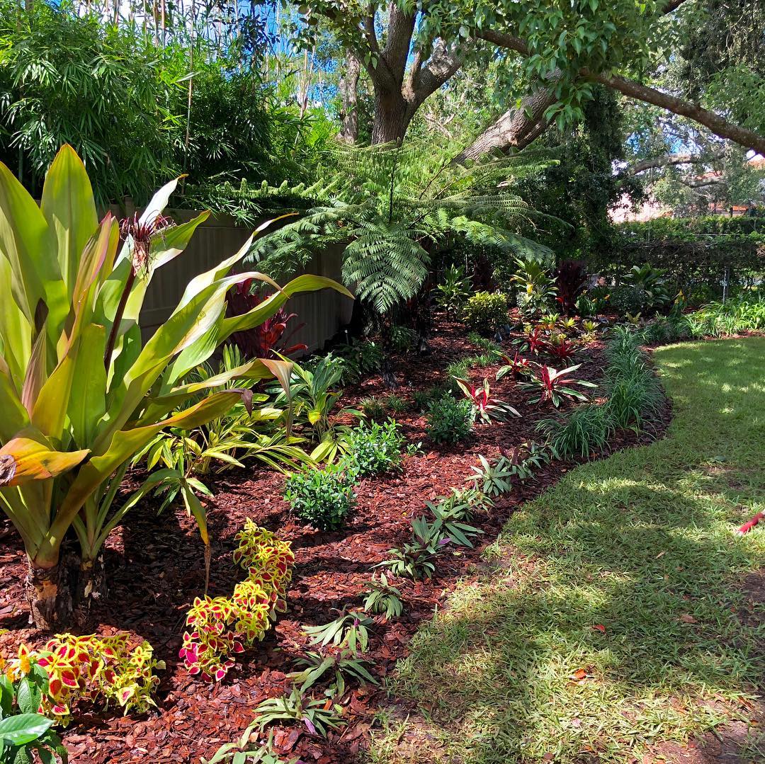 Orlando, Fl. Tropical colors bring vibrancy to an otherwise shady and dark space #landscapedesign #floridalife🌴 #tropical