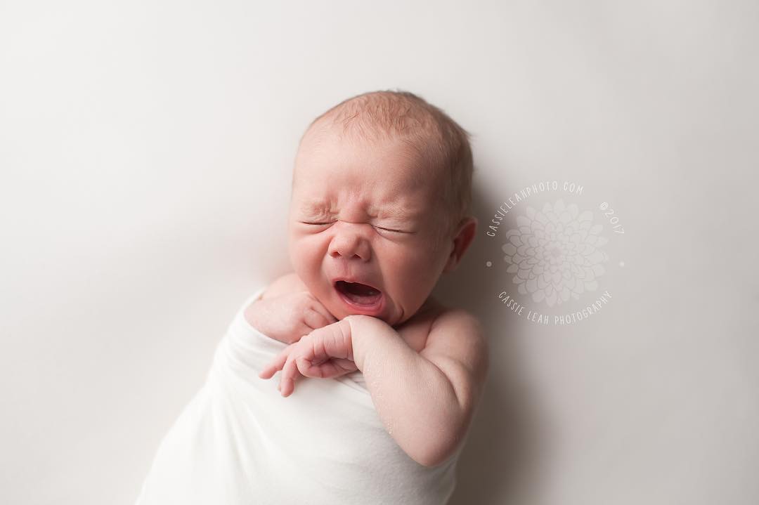 We are so excited to be new members of the @blondecowphoto family! We are now offering exclusive Simply Newborn sessions as part of their Baby Plan package! ✨ | #simplynewborn