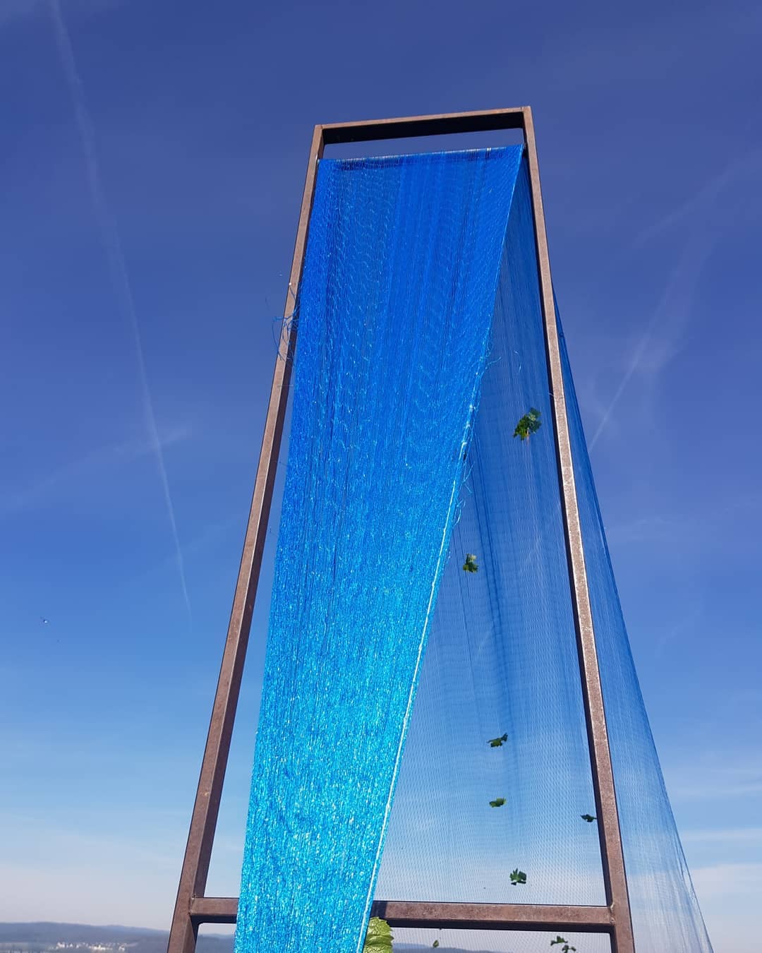 Die letzten Vogelschutznetze wurden entfernt. Die Netze haben in den letzten 7 Wochen unsere Trauben erfolgreich vor Vogelfrass geschützt.
.
.
#grüningersrebbau #familienbetrieb #wein #weinbaubetrieb #weinbau #rebbau #reben #trauben #triboltingen #ermatingen #untersee #vogel #schutz #netz #vogelschutznetz #traktor #carraro #eigenbau #thurgau