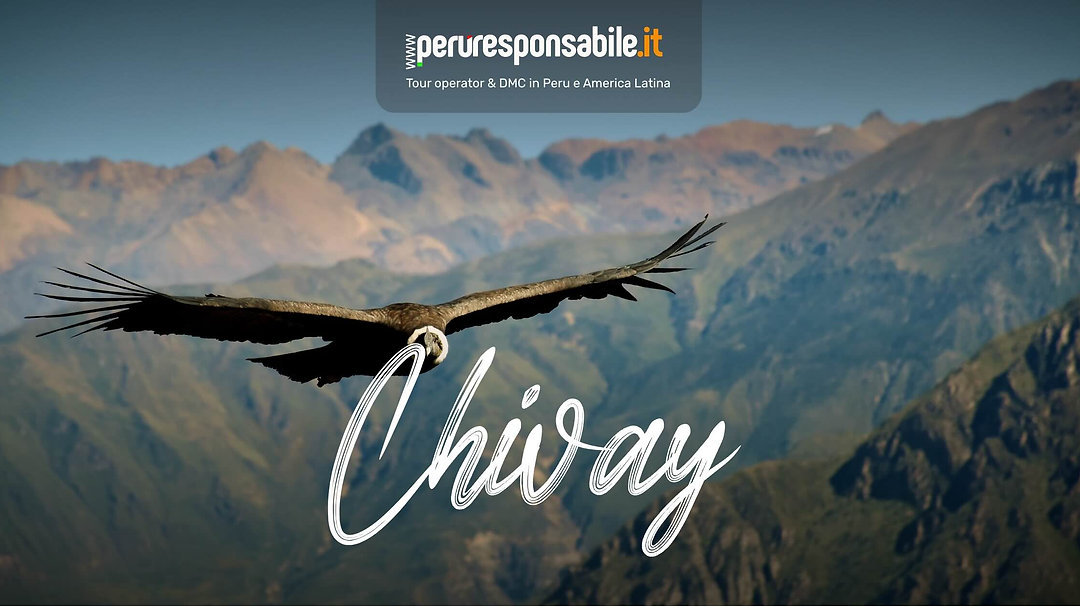 Chivay, incastonato tra le alte cime delle Ande nel sud del Perù, è il centro urbano della Valle del Colca, famoso per il suo canyon che è tra i più profondi al mondo. Questa piccola cittadina è il punto di partenza ideale per esplorare il canyon del Colca e per avvistare il condor andino, un simbolo vivente delle alte Ande.
La zona di Chivay e del Colca è ricca di storia, abitata da secoli da popolazioni indigene che hanno lasciato il segno con i loro terrazzamenti agricoli, alcuni dei quali ancora in uso oggi. Le chiese coloniali punteggiano il paesaggio, come testimoni silenziosi delle diverse ere storiche che hanno plasmato questa regione.
Chivay è facilmente accessibile da Arequipa, la città più vicina, con un viaggio panoramico che attraversa riserve naturali e paesaggi mozzafiato, portando i visitatori fino a un'altitudine di oltre 3.600 metri sopra il livello del mare.
I turisti a Chivay possono immergersi nelle acque termali curative di La Calera, visitare i mercati locali per acquistare artigianato e assaggiare la cucina andina, come l'alpaca grigliata o la chupe de camarones. Le escursioni nel canyon del Colca offrono l'opportunità di connettersi con la natura e con la cultura locale attraverso avvistamenti di uccelli e visite ai villaggi tradizionali.
Il turismo sostenibile è particolarmente importante in questa regione, con la conservazione delle tradizioni culturali e della biodiversità che sta a cuore alle comunità locali. Gli sforzi vanno dalla protezione dell'ambiente naturale al supporto dell'economia locale attraverso il turismo responsabile.
Vuoi scoprire Chivay, i suoi tesori naturali e culturali e il maestoso Canyon del Colca con uno dei viaggi di www.peruresponsabile.it?
Scrivici, ti ricontatteremo subito per aiutarti a costruire un viaggio personalizzato o per consigliarti uno dei nostri viaggi di gruppo!
#peruresponsabile #colcacanon #arequipa #chivay #peru