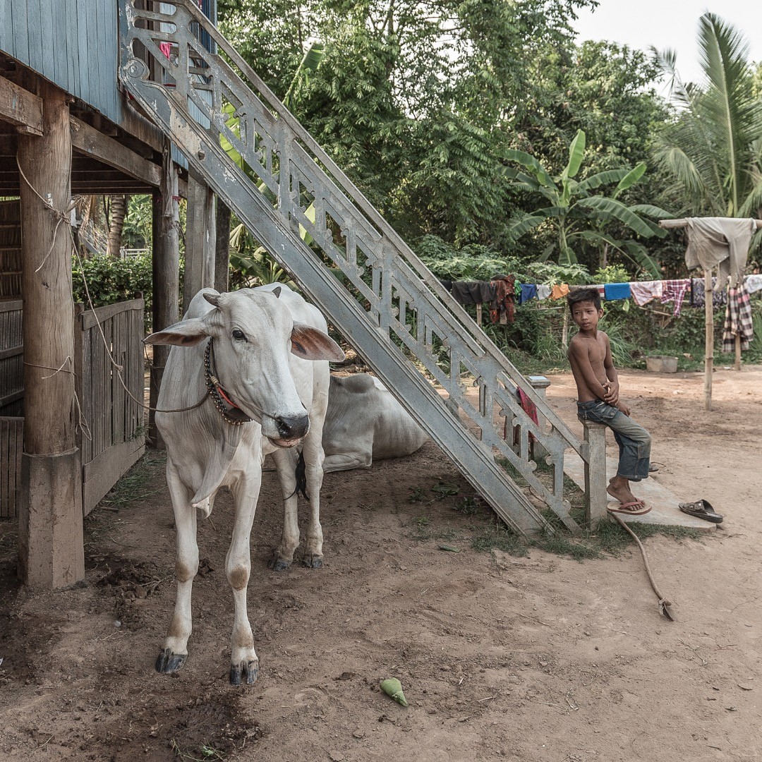 Angkor Ban - Cambodia.
.
.
.
#portraitphotography #portrait #people #peopleofcambodia #angkorban #localpeople #natgeoyourshot #natgeocreative #natgeo_lovers #bbctravel #peoplearoundtheworld #photography #photographyislifee #canon #canonphotography #travel #travelphotography #cambodia #documentary #streetphotography #documentaryphotography #worldcaptures #tourism #worldplaces #worldingram #traveller #instapassport #travelpics #tourist #travelphoto