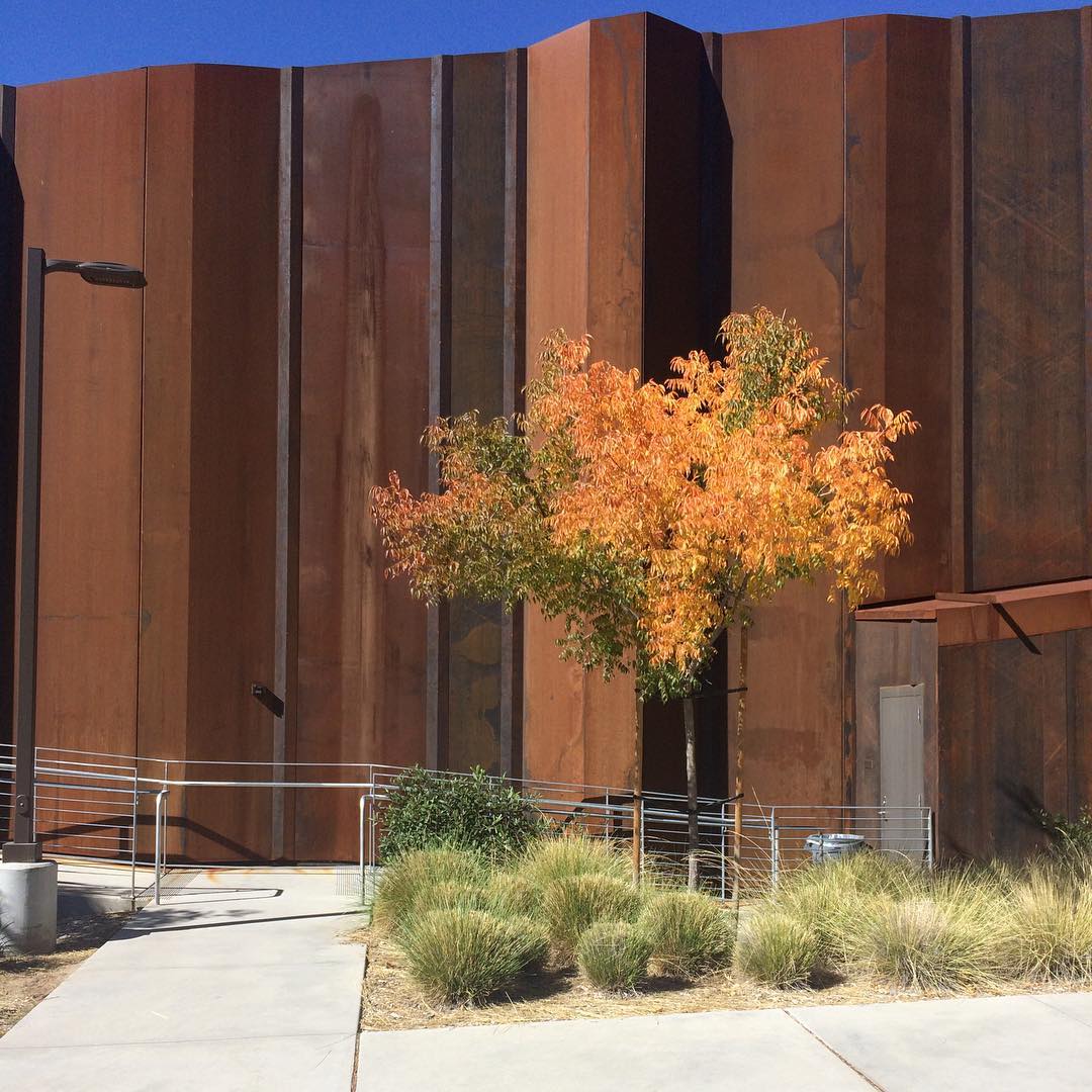 Also in Idlyllwild, the latest image of our Lowman Concert Hall. It's weathering nicely, almost feels like geology. #idyllwild, #milehigh #architecture #geological
