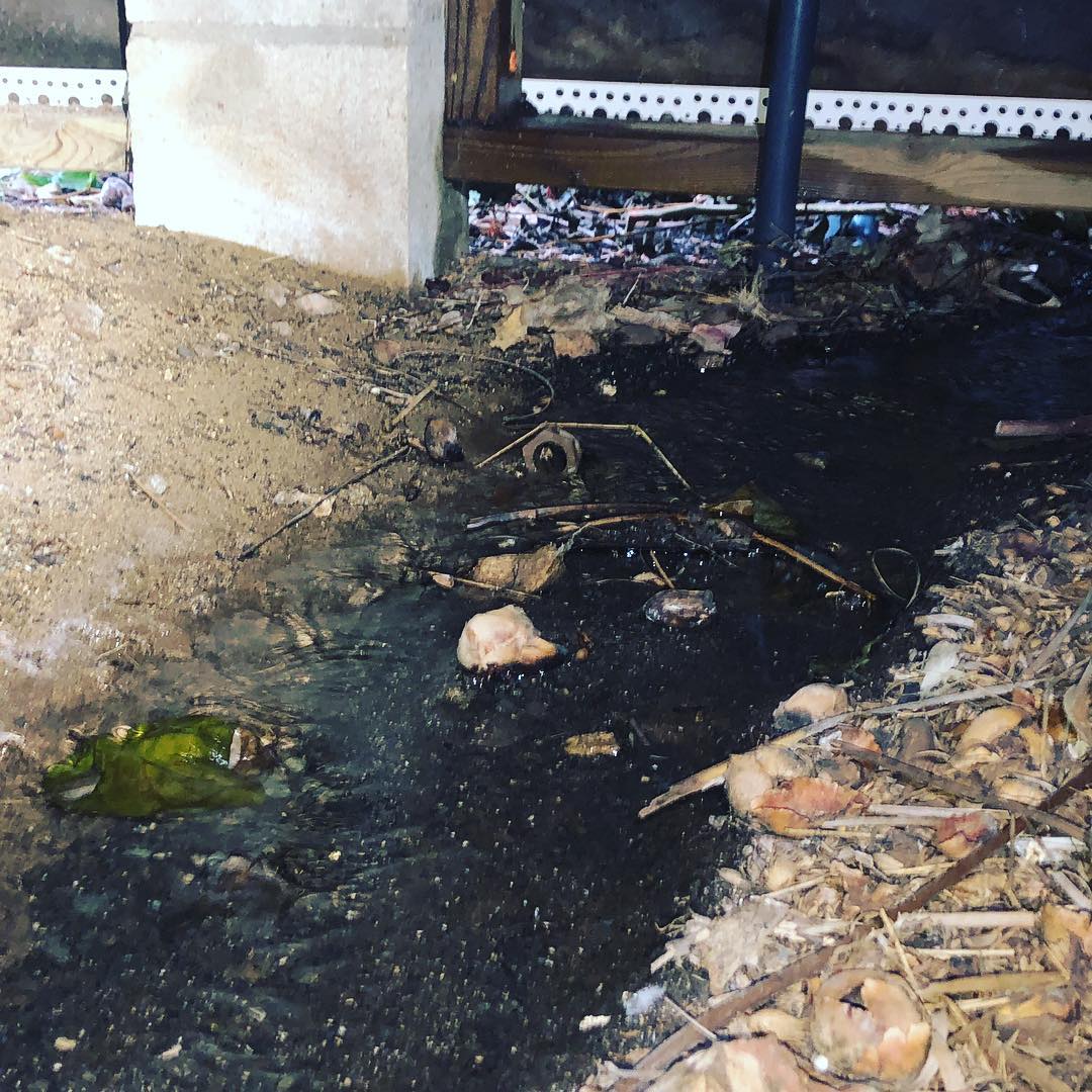 River under the house! The most common sources of water intrusion is no gutters and bad grading.