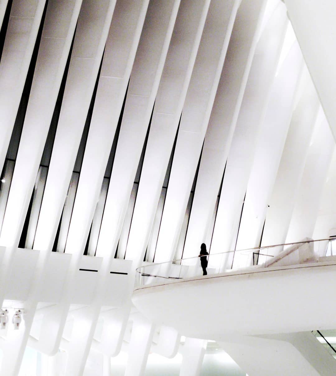 @oculusnyc by santiago calatrava