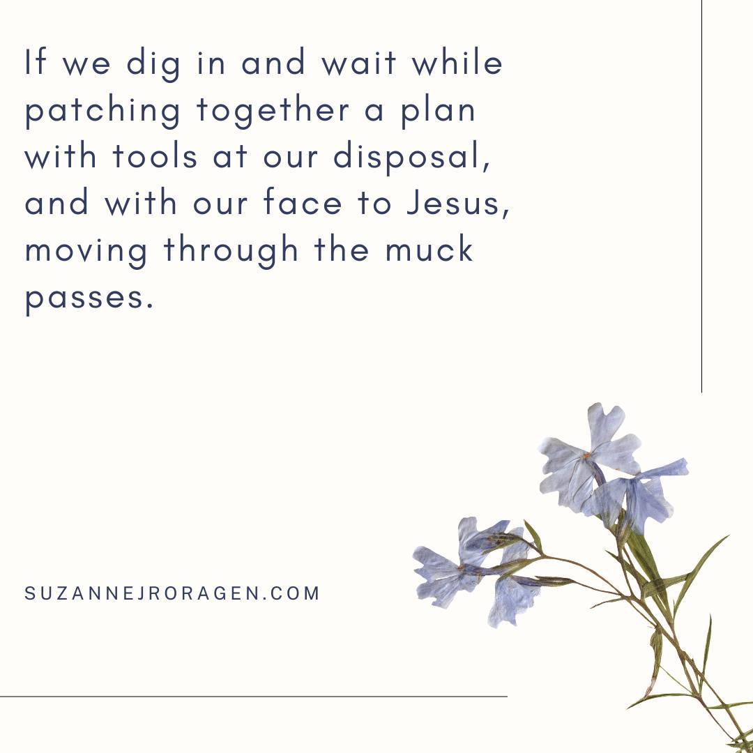 Read more at the link in bio!