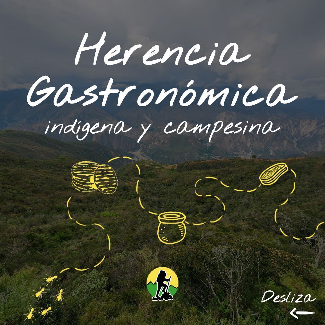 Esta herencia gastronómica refleja un equilibrio entre la adaptación al entorno natural, las influencias históricas y la persistencia de las prácticas culturales locales🔥 . Además, cómo los grupos humanos desarrollan sus dietas basándose en el acceso a recursos y las influencias externas🏜️ . En Santander, estos platos cuentan con ingredientes y técnicas que cuentan historias de adaptación, supervivencia y fusión cultural👐. #SaboresDeSantander #HormigaCulona #Chicha #ArepaSantandereana #CarneOreada #HerenciaGastronómica
