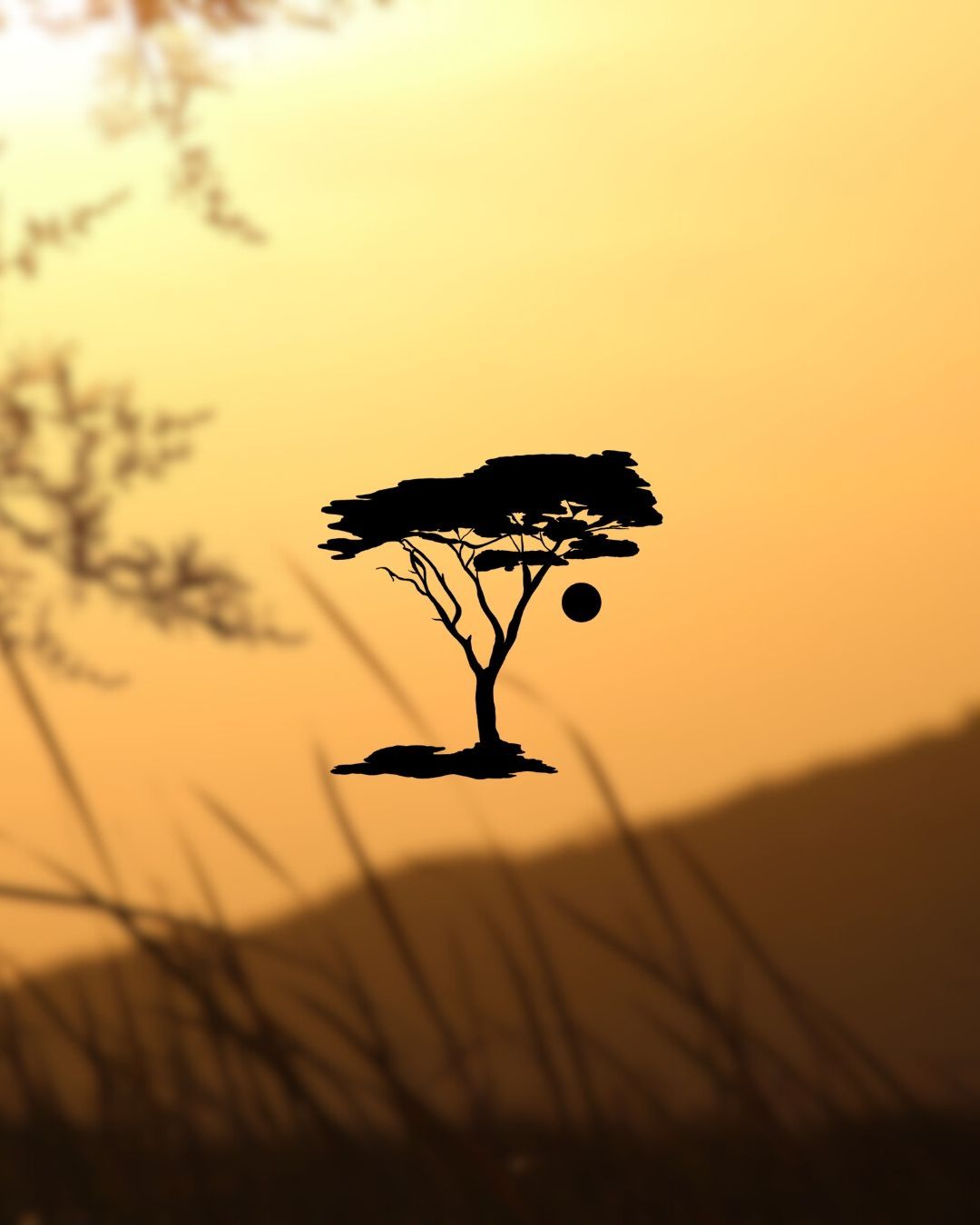 Under the shade of the Acacia tree, our story begins.
Sebaka Private Game Reserve is more than just a 'destination' - it's an experience rooted in the beauty and wonder of the African wilderness.
🌐 More Info & Book online: sebakalodge.com
📞 Call/WhatsApp: +27 82 309 5045
#SebakaReserve #SebakaPrivateGameReserve #Sebaka #SPGR