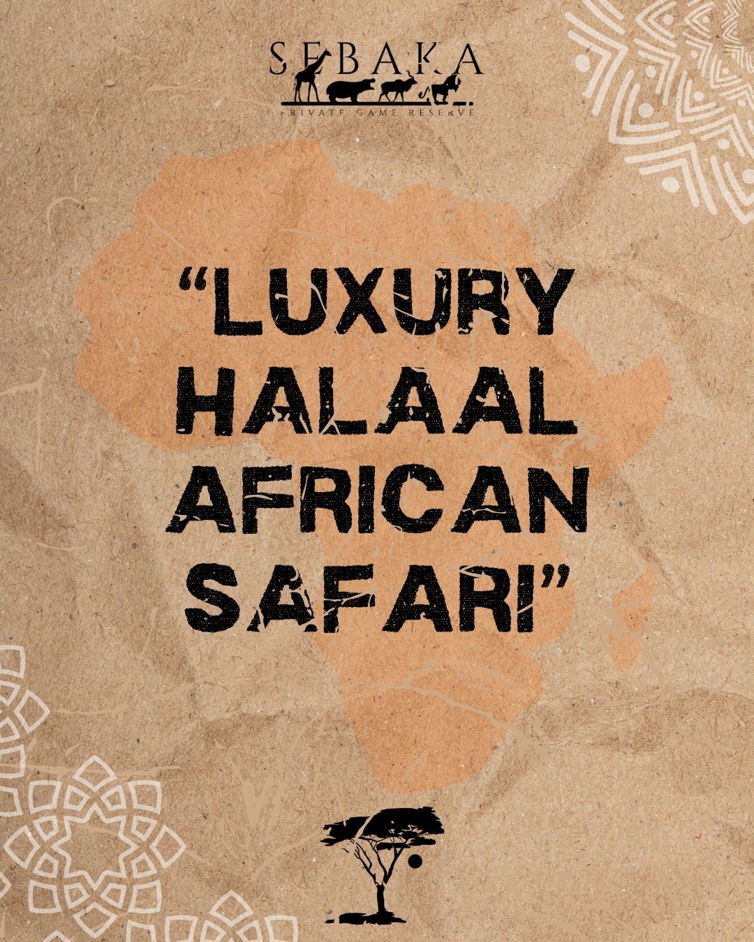 Halaal is not just the food we serve, but how we live – with intention, integrity, and compassion.
Immerse yourself in the untamed beauty of Africa at Sebaka, a Muslim-owned game reserve spanning an impressive 3,300 hectares of breathtaking flora and fauna. Our reserve is a tranquil oasis, where the rhythms of nature blend seamlessly with the values of faith and hospitality. Experience the warmth of African hospitality, the thrill of wildlife encounters, and the serenity of a fully Halaal environment, all under the vast African sky.
No alcohol or drugs allowed, offenders will be fined and asked to leave the property immediately.
🌐 More Info & Book online: sebakalodge.com
📞 Call/WhatsApp: +27 82 309 5045
#SebakaReserve #SebakaPrivateGameReserve #Sebaka #SPGR