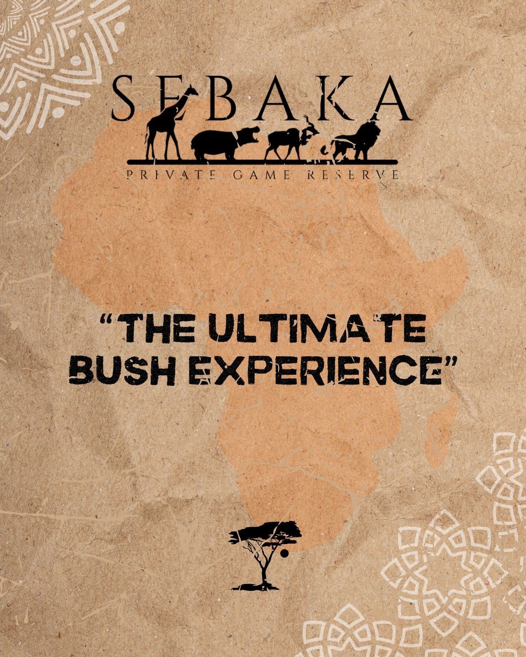 What can you expect from the ‘Ultimate Bush Experience’?
* Immersive wildlife encounters: Getting up close and personal with incredible animals.
* Unspoiled natural beauty: Witnessing breathtaking sunrises and sunsets, exploring diverse landscapes, and marveling at the unique flora and fauna of the African bush.
* Luxurious comforts: Enjoying high-end amenities, such as luxurious accommodations, loads of activities and exceptional service, all while being surrounded by the sights and sounds of the wild.
* Guided adventures: Embarking on guided game drives, hikes, or other excursions led by experienced and knowledgeable guides who can share insights into the natural world.
* Halaal-friendly environment: Enjoying a welcoming and inclusive atmosphere that caters to Muslim guests' dietary and cultural needs.
* Exclusive and intimate setting: Relaxing in a secluded and peaceful environment.
and more...
🌐 More Info & Book online: sebakalodge.com
📞 Call/WhatsApp: +27 82 309 5045
#SebakaReserve #SebakaPrivateGameReserve #Sebaka #SPGR