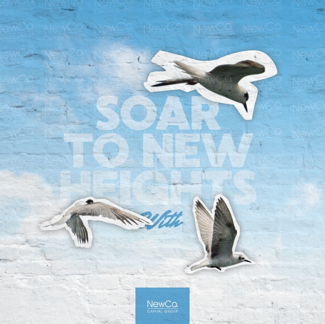 Fly high with funding faster than a seagull spots a French fry
#NewCo #BusinessFunding #FastApprovals #SmallBusinessGrowth