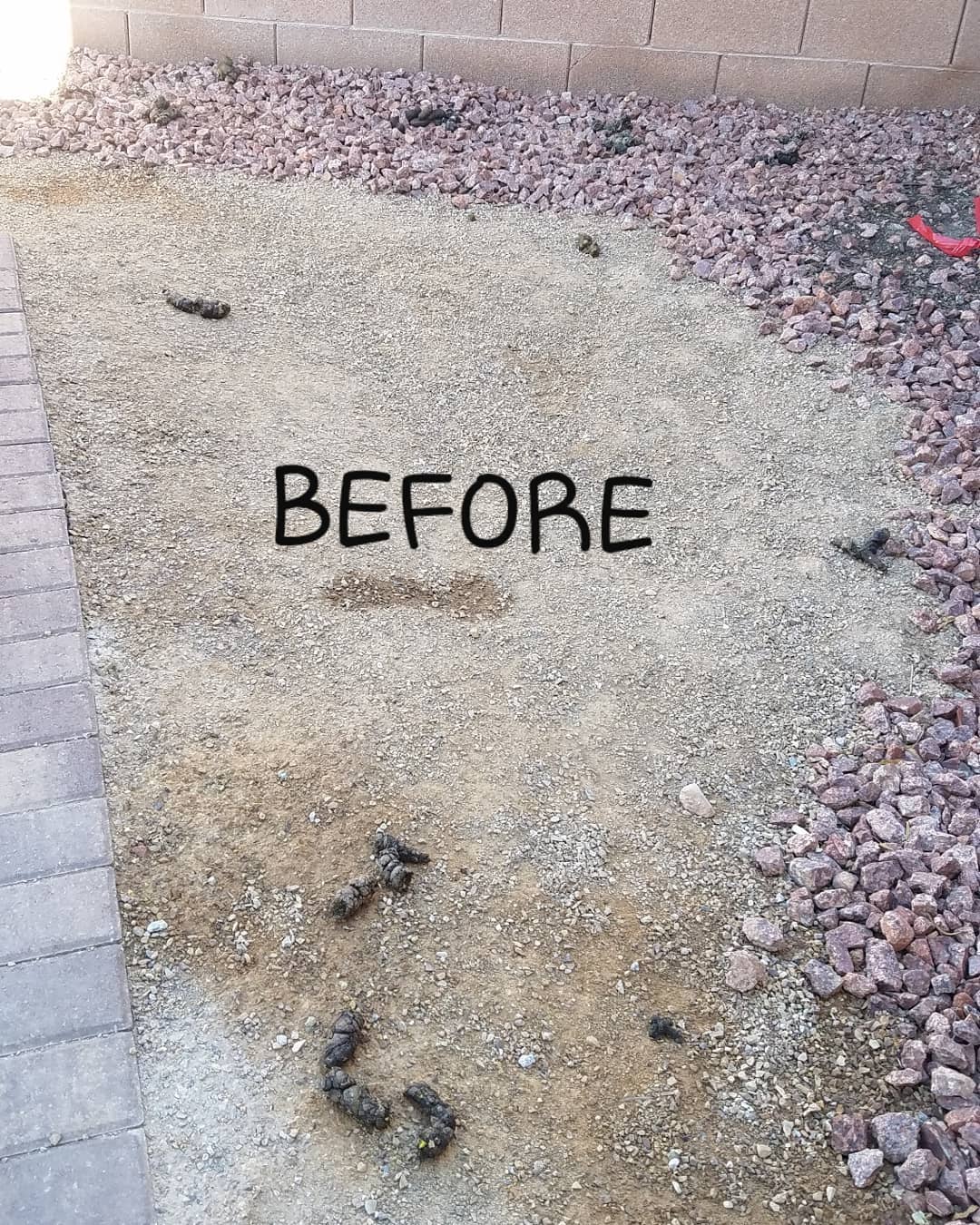 Don't just throw it away TURD IT AWAY!
• Eco-Friendly pooper scooper service • Complete Dog Waste Clean Up & Haul Away
• Scent Relief
• Biodegradable products
• Fecal matter testing (optional)
Call now for a #freeestimate #7024620050 #pooperscooperservice #turditaway #fecalmatter #poop #dogpoop #catpoop #poopoo #turd #haulaway #cleanyard #healthy #feces #environmentalhealth #cleanenvironment