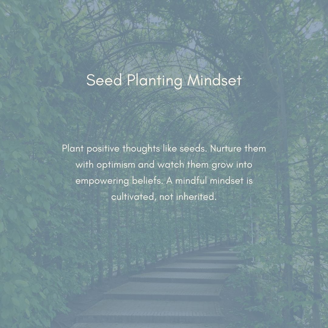 🌱 Seed Planting Mindset 🌱
Your thoughts are like seeds—what you plant and nurture will grow. When you feed your mind with optimism, self-belief, and gratitude, you cultivate a mindset that thrives. Growth isn’t instant, and mindfulness isn’t inherited—it’s cultivated with patience and intention.
What positive thoughts are you planting today? 🌿✨
#MindsetMatters #GrowthMindset #PlantPositivity #SelfCare #MentalWellness #Mindfulness #PersonalGrowth #HealingJourney