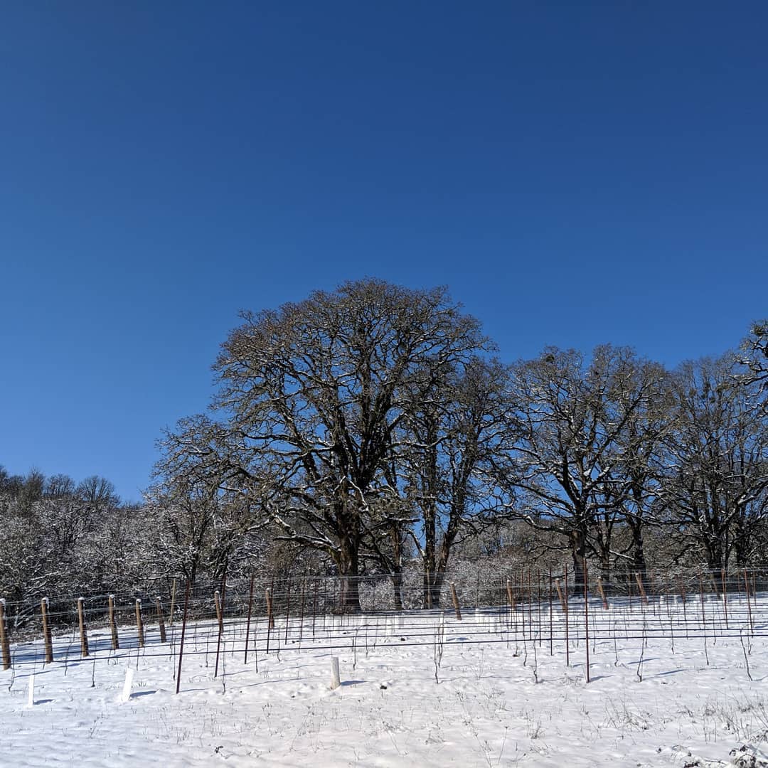 A little winter bliss at Bishop Scott Ranch