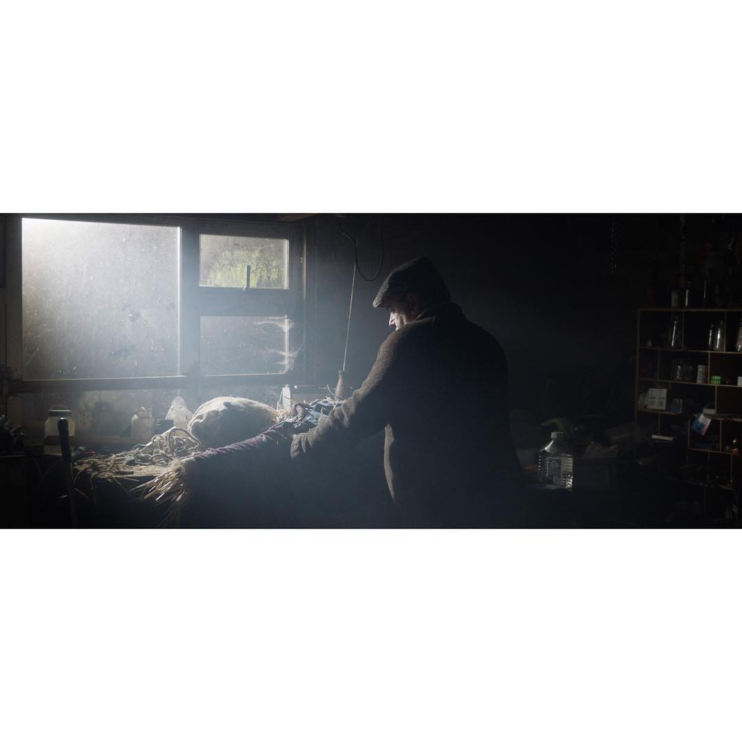 A few sneak peak frames for an upcoming music video I shot a couple of days ago for the incredible @mantis_state and directed by the super talented @blancpictures 
Shot on the Alexa Mini🎥👀 Can’t wait to see this all come together!