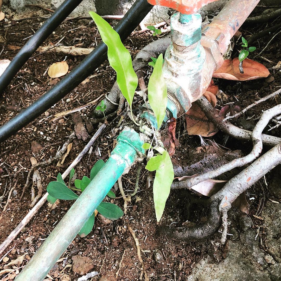 “How do you know there’s a leak?”