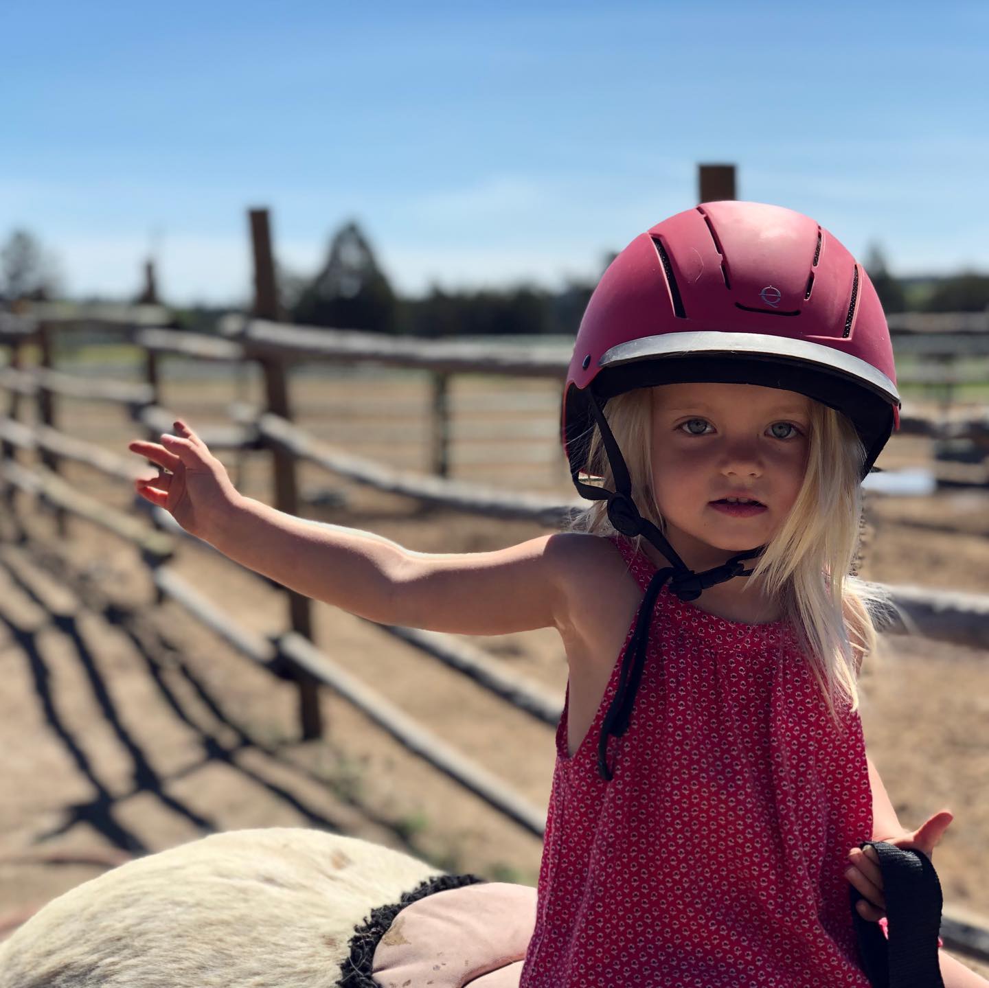 Beautiful Revi shows us where she wants to go ride. ...............#ponyrider #ponylover #borninabarn #kidsandhorses #horsegirls #littlerider #horselover🐴