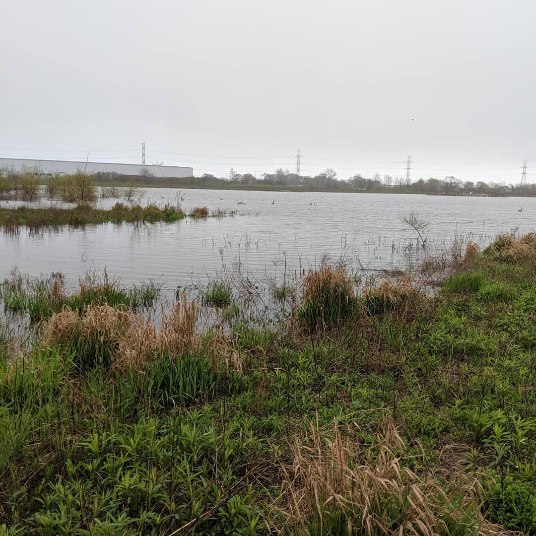 Wet, cold and rainy day in Hamilton. Water levels in Red Hill Creek and Hamilton Harbour are reminiscent of 2017.