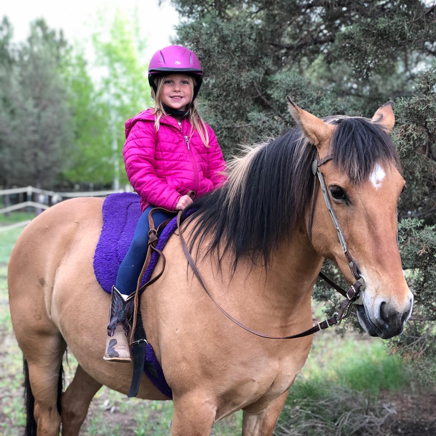 6-year-old Charlotte riding Koa, a Kiger Mustang. Charlotte is newly off the lunge and look what a beautiful, classical seat she has! Swipe to see video.
#horsebackrider #pferdefreunde_post #barebackriding #dunhorse #kigermustang #trailrides #horseriding🐴