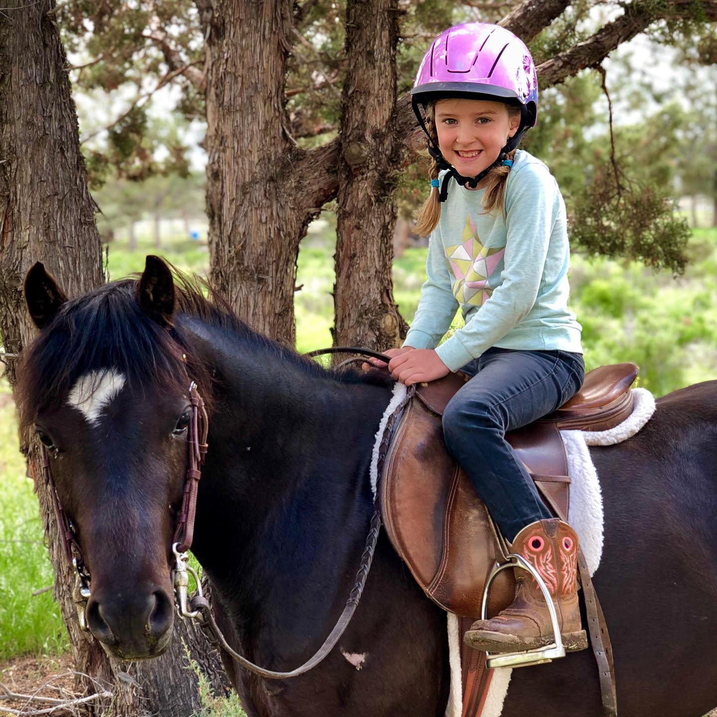 7-year-old Maren helped me cool out Indy this morning. Guess pony’s age! Comment below!
#ponyrider #coltstarting #welshpony #smallpony #ponyhunter #ponyprospect ⏯ Visit our profile to see videos of the colt starting process with Indy from day 1
💫 Follow so you can see more great kids and ponies in action!
✍🏻 Comment if you think this is a cute little pair 💌 Message if you have questions about anything horse
📬 Share if you are glad there are ponies getting good colt starts so more kids can have a fun, safe ride