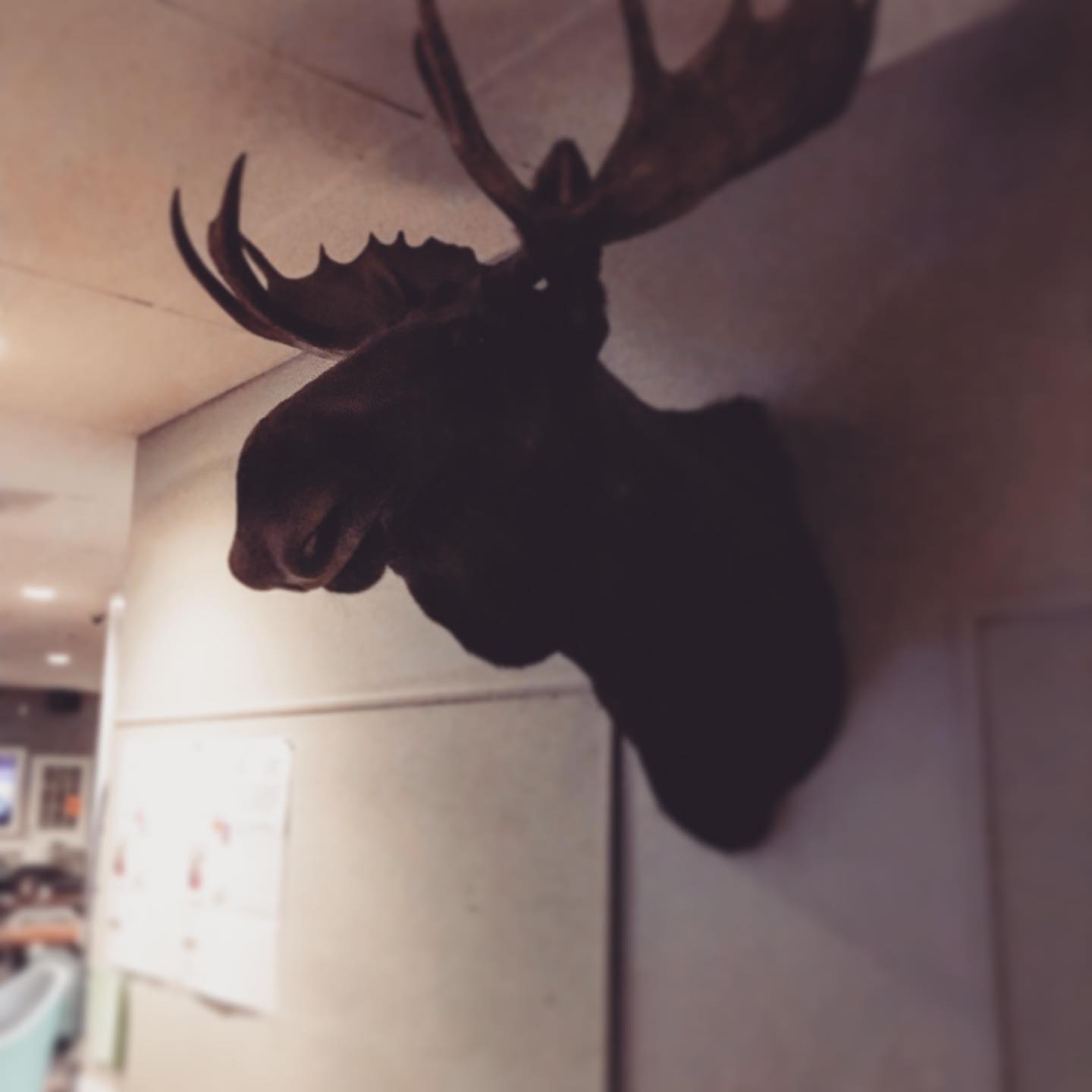 at the end of a long night of playing covers at the Front Royal Moose Lodge. Great fun!!