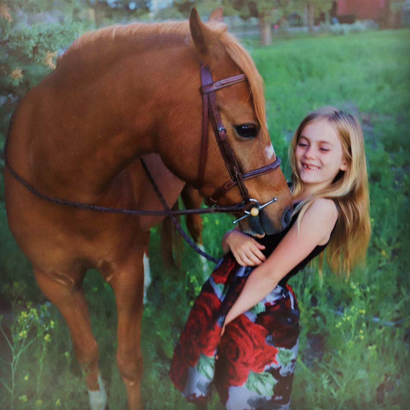 Summer thunderstorms in the evening make for fairytale pony kisses