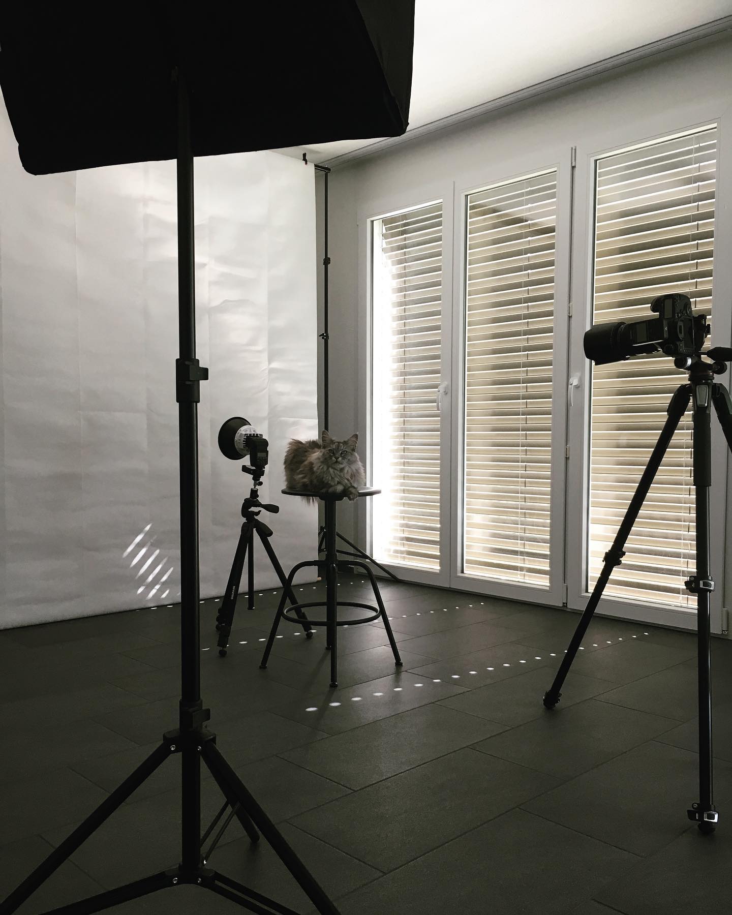 #dieruhevordemsturm #fotografie #studio #zuhause #samstagnachmittag #portrait #wirsindbereit