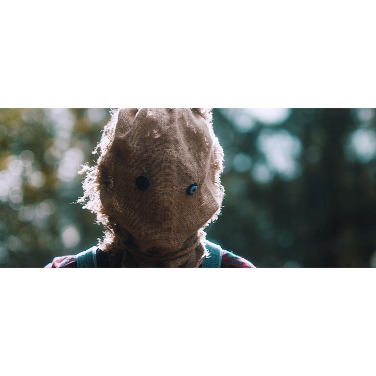 If you haven’t checked out @mantis_state new music video that just released then deffo check it out, they’re super talented guys!
link is in my bio!