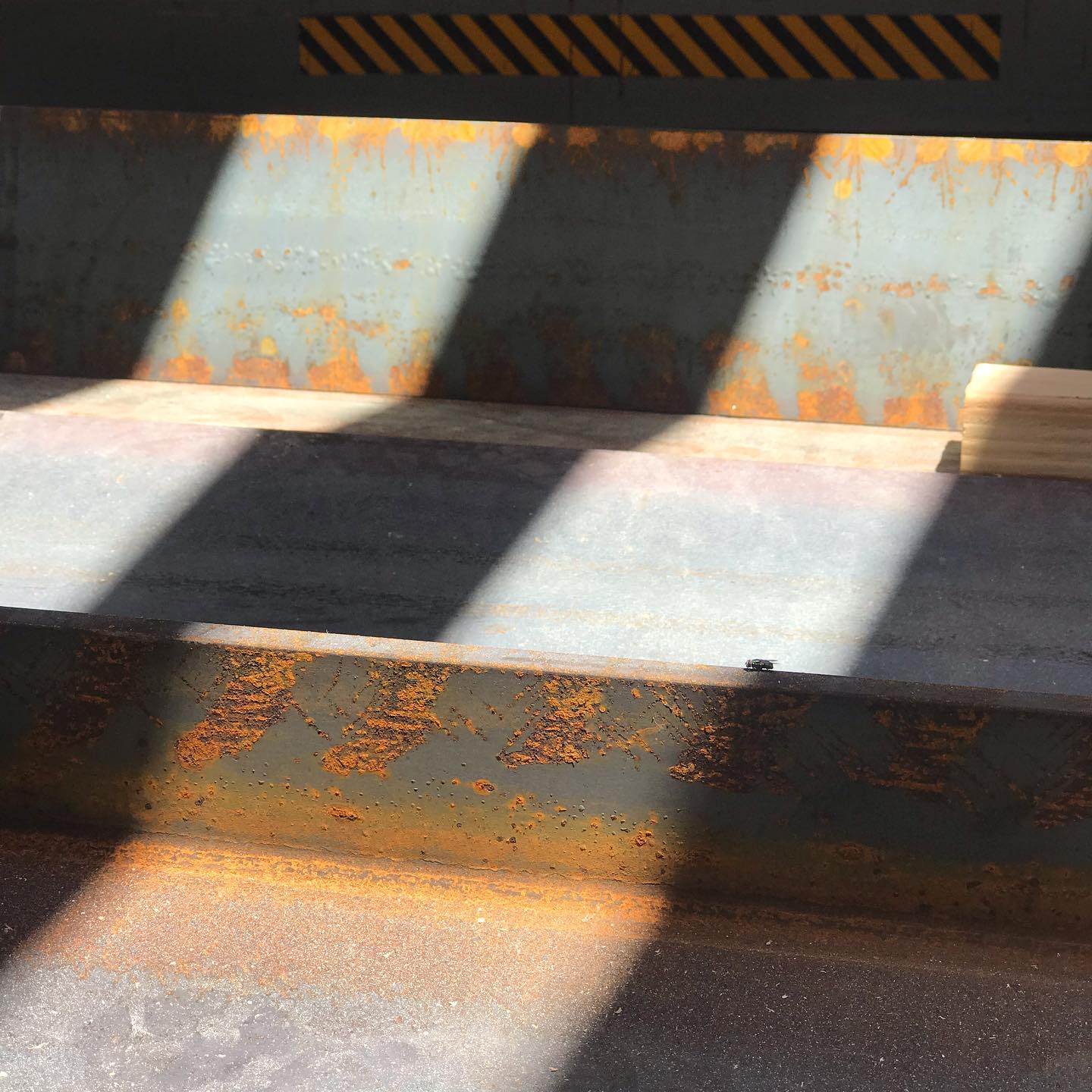 Steel just arrived on site! Although I feel like I should title this one “fly” #sanderarchitects #steel #fly #jobsiteinspiration