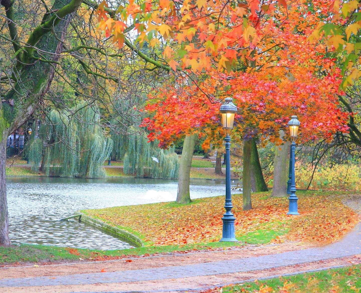 ¡Bienvenido Otoño! #otoño #autumn #september #septiembre #equinoccio #equinocciodeotoño