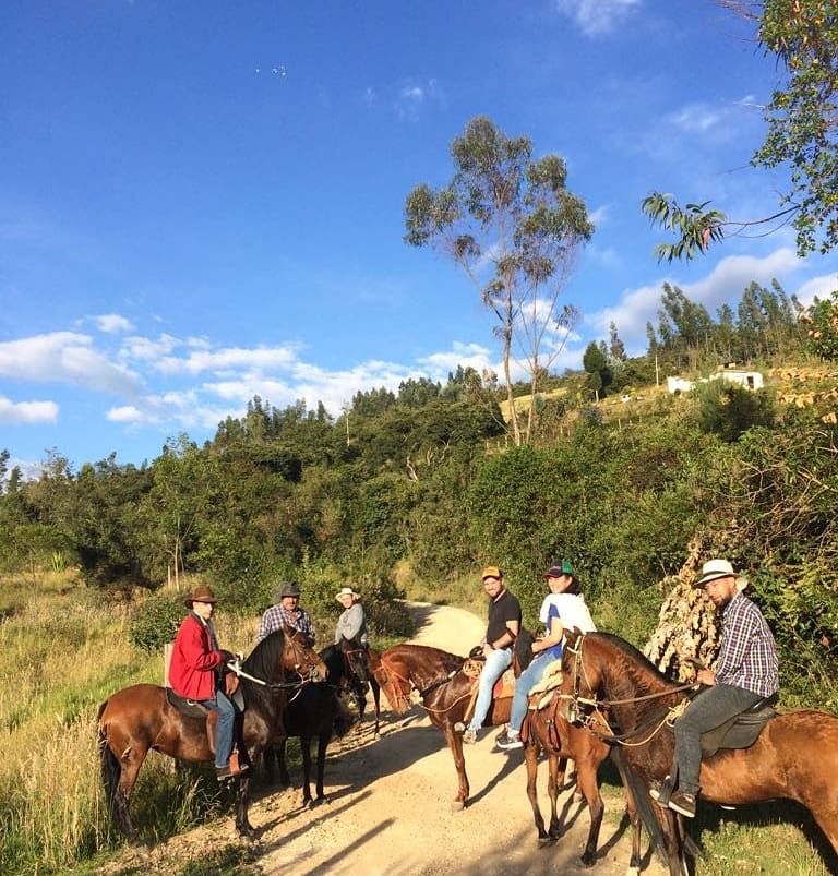 We are increasing our riding experience. If you share our passion for horses🐴 , we invite you to ride these beautiful animales in the mountains of the Andes of Colombia🇨🇴 , it's a fantastic adventure.
Check our tours on our Bio
#horseriding #horsebackriding #horsepacking #reiten #horseaddict #horsetrip #colombiaismagicalrealism