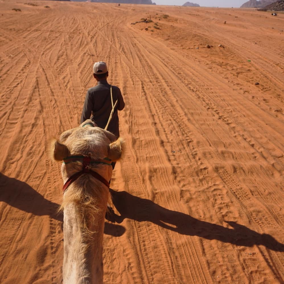Trekking through the desert #jordan #wadirum #middleeast #camel #camelride #hiking #desert #trekking #adventure #travel #exploring #sand