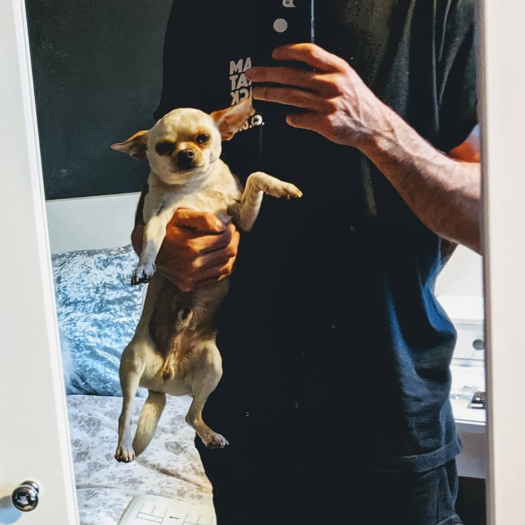 Chiwawa see what we built today?... .
.
.
#ikea #ikeawarrington #ikeahackers #ikeauk