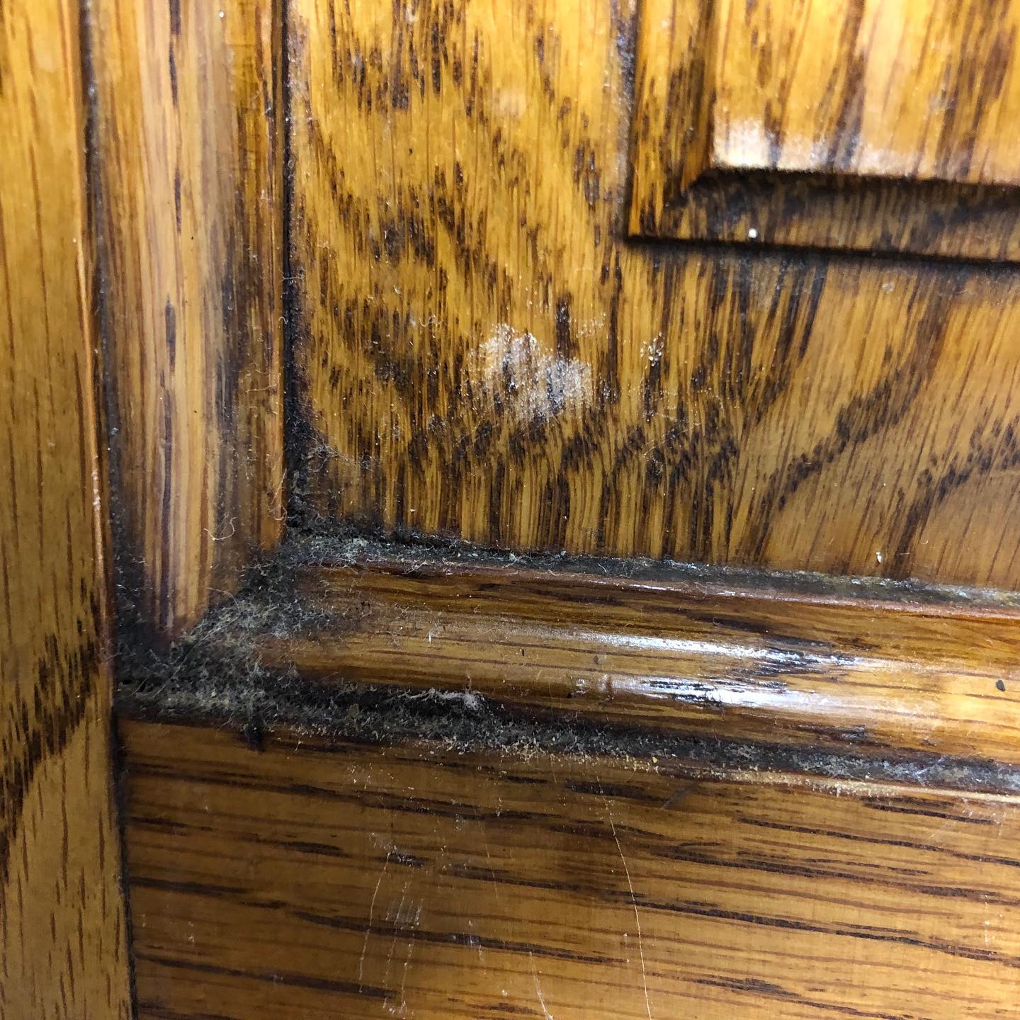 Cleaning up this clients 30 year old kitchen last week that had a build up of grease and dirt. We sanded, scraped and wiped these doors down to an inch of there lives! Then coated them in an antique pine finish. No need for kitchen fitters as we installed brand new hinges and handles ourselves for the client #paintinganddecorating #paintersofinstagram #dundalk #moranpainting