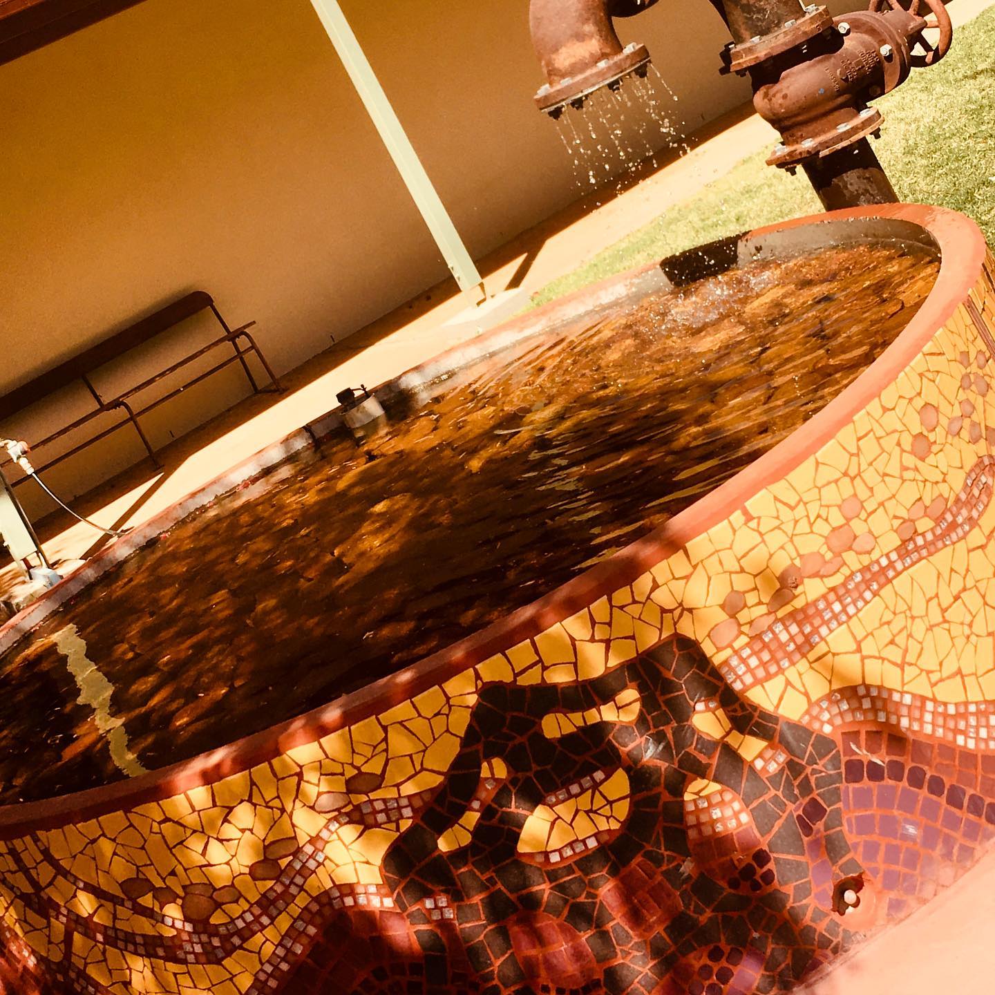 Bring on street art!...Journey down Quilpie’s Main Street and experience the varied art installations...I’m still stuck on worshipping water. #quilpie #quilpieshire #outbackqld #cristinaforfairtrade #CFFT #elegantemu