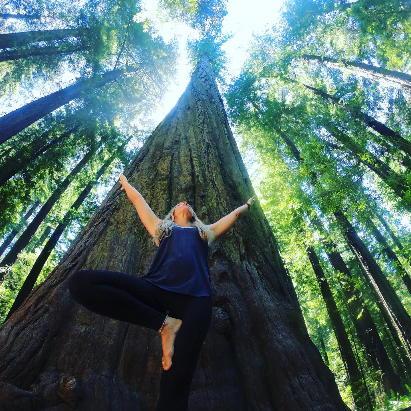 “Yoga does not remove us from the reality or responsibilities of everyday life but rather places our feet firmly and resolutely in the practical ground of experience. We don’t transcend our lives; we return to the life we left behind in the hopes of something better.” – Donna Farhi
-
#yogaeveryday #yogaoutside #yogaoffthemat #yogaisapractice #return #rootingfirmly #vrksasana #treepose