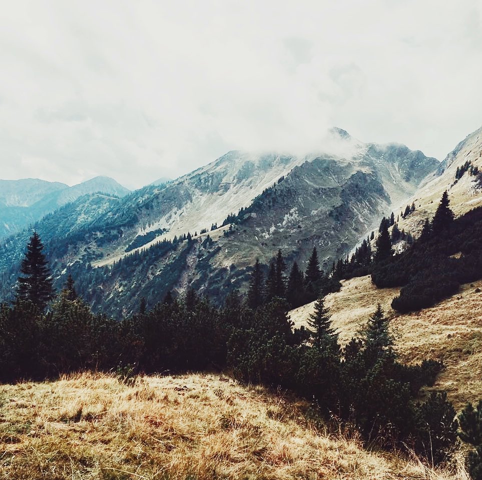 Draußen sein ist immer am besten❤️
.
.
.
.
.
#alpen #alps #hiking #snowonmountains #lovenature #wanderlust #mountains #austria #landscapephotography #winter #bergliebe #outdooradventures #wandernmachtglücklich #berge #naturephotography