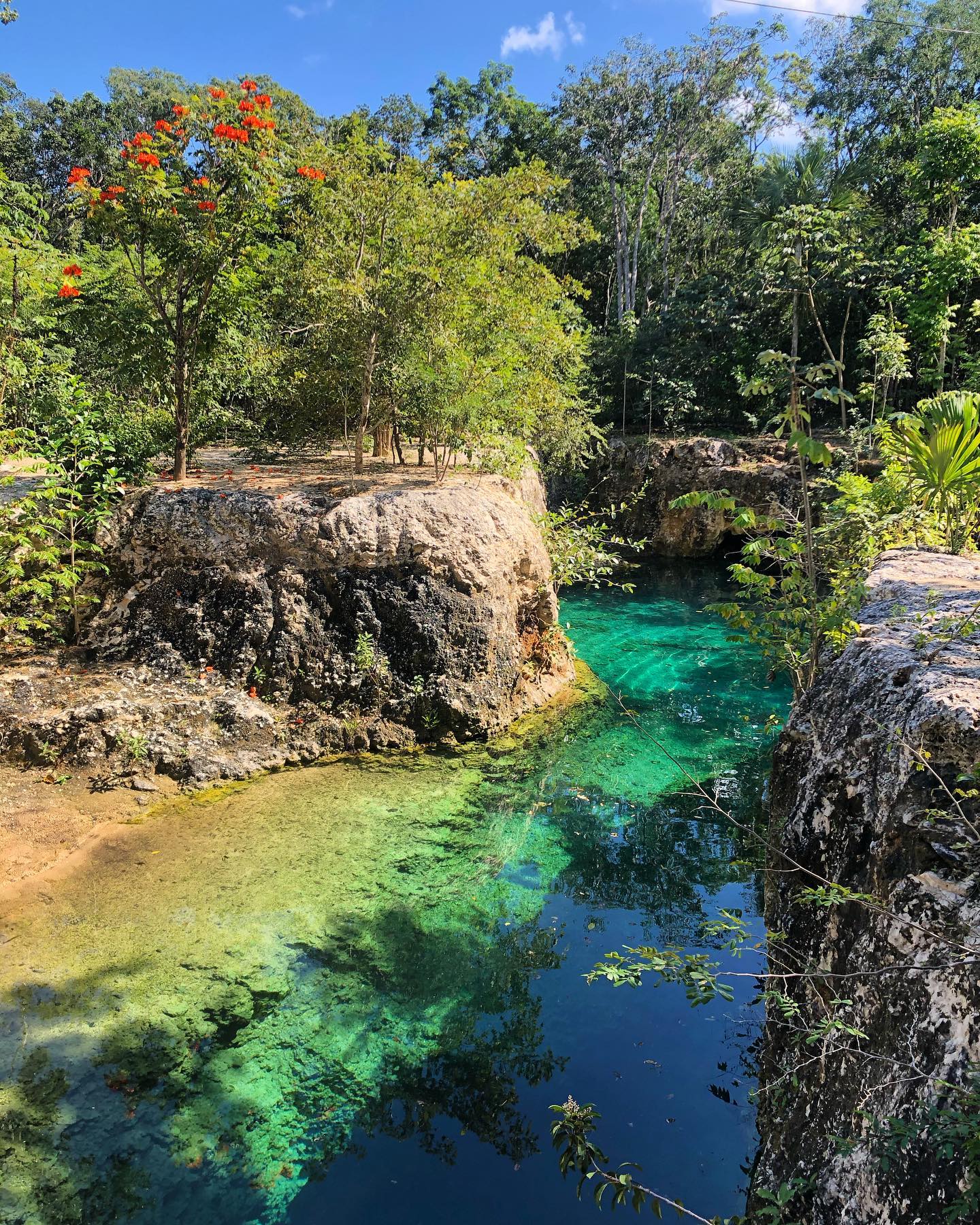 Happy New Year from Tulum! Here’s to a new decade! #tulum #cenotes