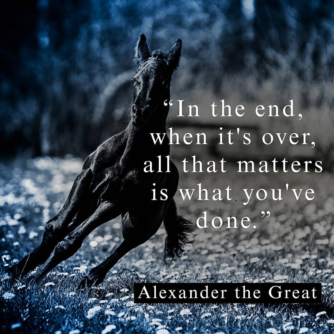 🏺🏛️❗I remember watching the 2004 movie “Alexander” feeling rather disappointed and angry that it was a unique opportunity to make a masterpiece at least as emotionally vibrant as “Gladiator”. But the movie’s incredible musical score by the masterful composer Vangelis has haunted me to this day. Today unexpectedly I fell upon this unreleased track / fan made video titled “Do You Want to Live Forever” from the movie and for those 60 seconds I found myself at a loss for words.
◾◾◾
www.youtube.com/watch?v=XmVxUf-IzfI
Video title: Macedonians, do you want to live forever? - Alexander Unreleased Soundtrack - Vangelis
◾◾◾
I can only dream of having Alexander across from me with his might and gravity saying these words to me and can imagine being an infantryman in the phalanx finding all the inspiration I will ever need in this life.
◾◾◾
External Photo Credits: Jan Laugesen @fotofyn
Photo Editing / Graphics: Alexios Demos
◾◾◾
#wordstoliveby #inspiration #epic #alexander #alexanderthegreat #quote #picoftheday #photooftheday #greektemples #ig_greece #athens #travelblog #travelgram #discovergreece #greekbloggers #greecelover_gr #greece_all #greece_is_awesome #feelgreece #greece_united #greecelovers #greecepix #adoregreece #greece_uncovered #greecetravelgr #greece_moments #thesoulofgreece #reasontovisitgreece #king